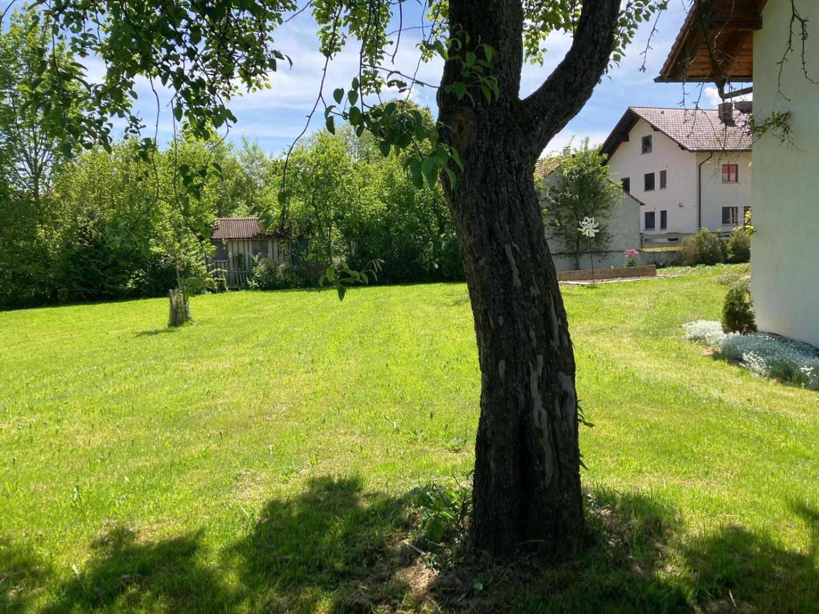 Ruhige Ferienwohnung Inklusive Garten Souterrain - Neu Renoviert Lachen 外观 照片